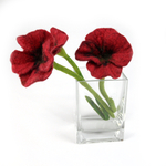 gefilzte Mohnblume